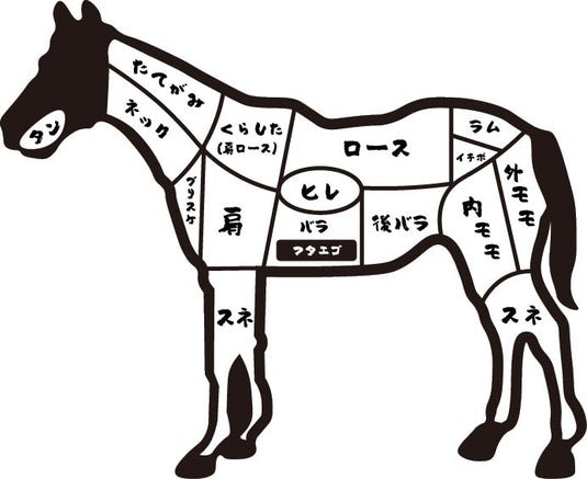馬刺しの部位を解説するための馬のイラスト