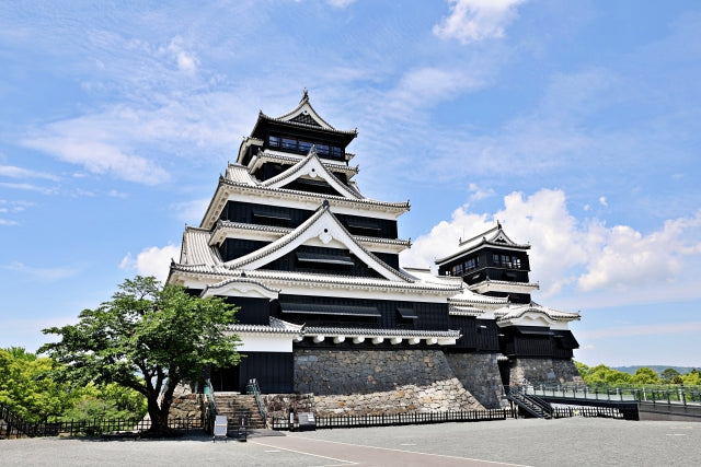 熊本馬刺しの歴史と文化　熊本城