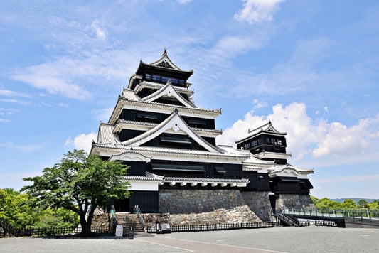 熊本馬刺しの歴史と文化　熊本城