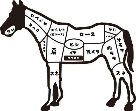 馬肉の部位イラスト-馬刺しキングダム